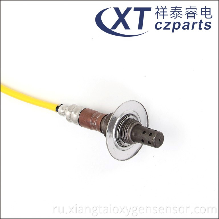 Oxygen Sensor